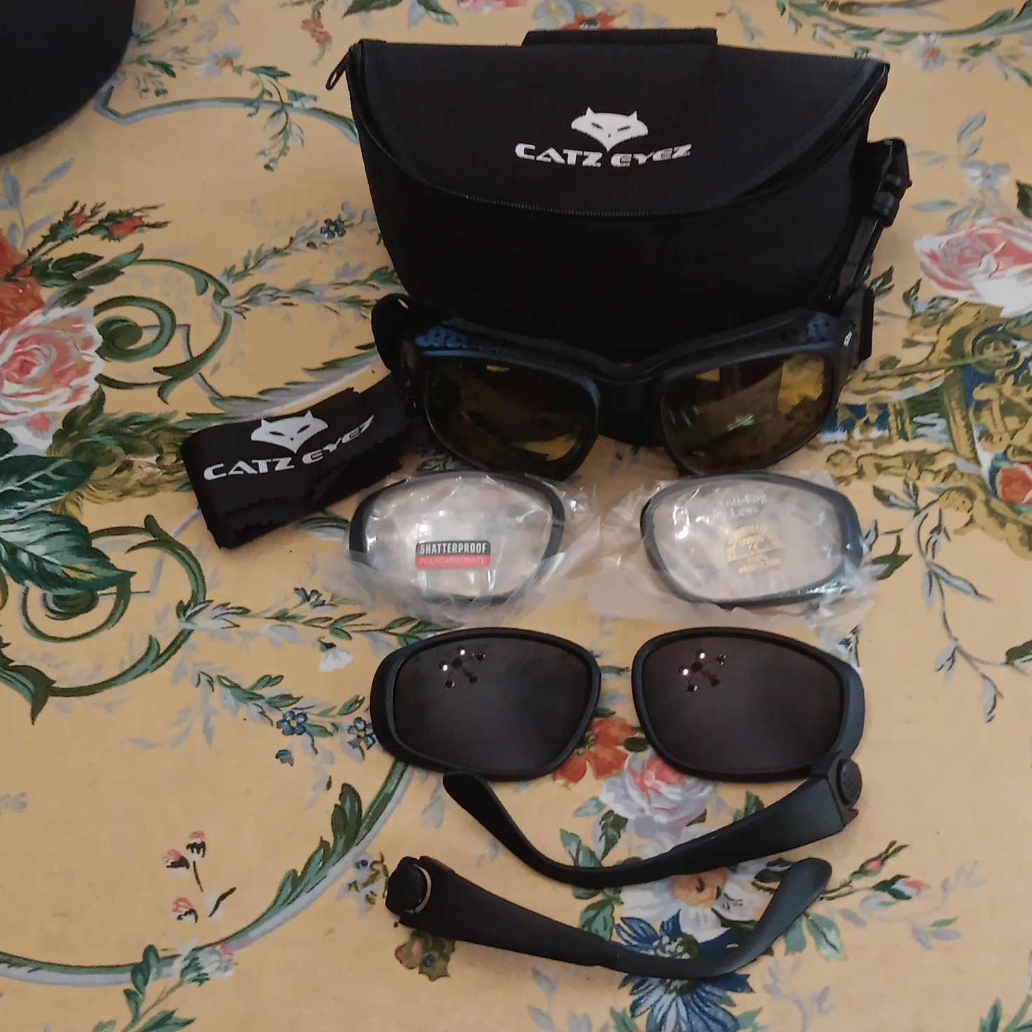 Catz Eyez Motorcycle Riding Glasses Interchangeable Lens